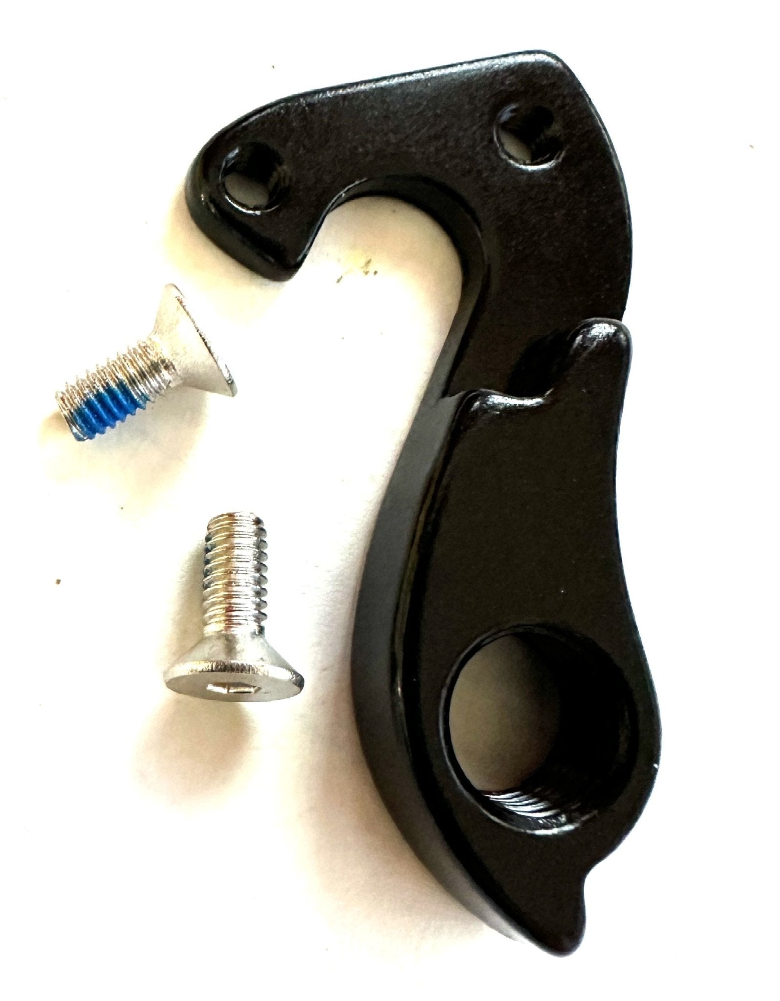 Fuji derailleur hanger online