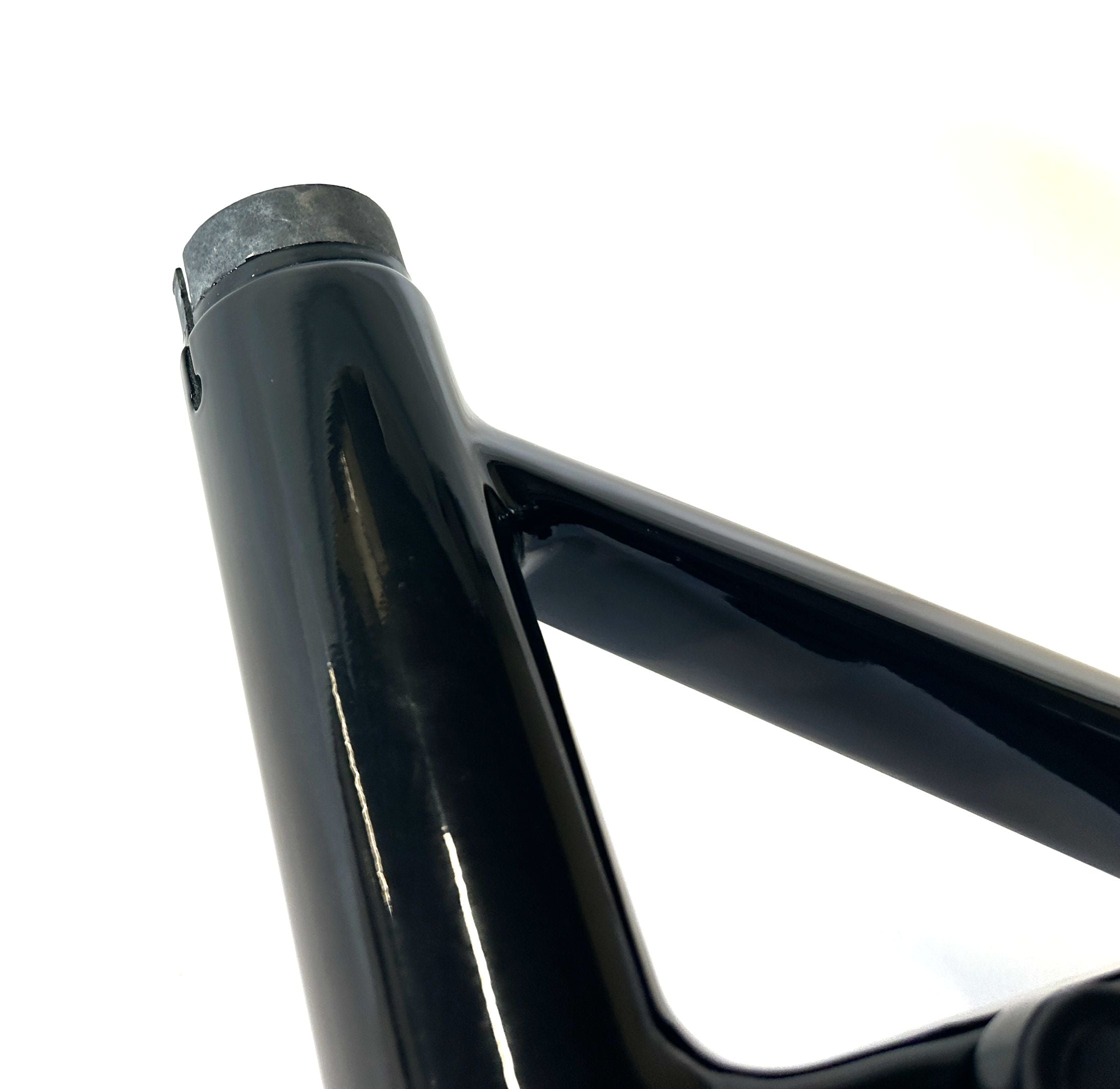 Carbon fat store bike frame