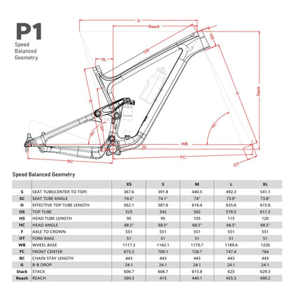 P1 XC Carbon 29" Extra Small MTB Suspension Trail Bike Frame  Boost 148mm