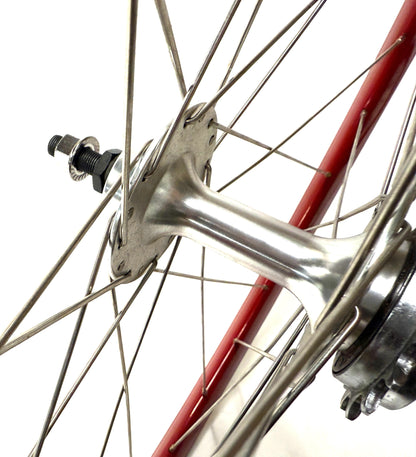 Single Speed Red Rear Wheel 700c 32 Spoke 17t Freewheel + Thick Slick WTB Tire